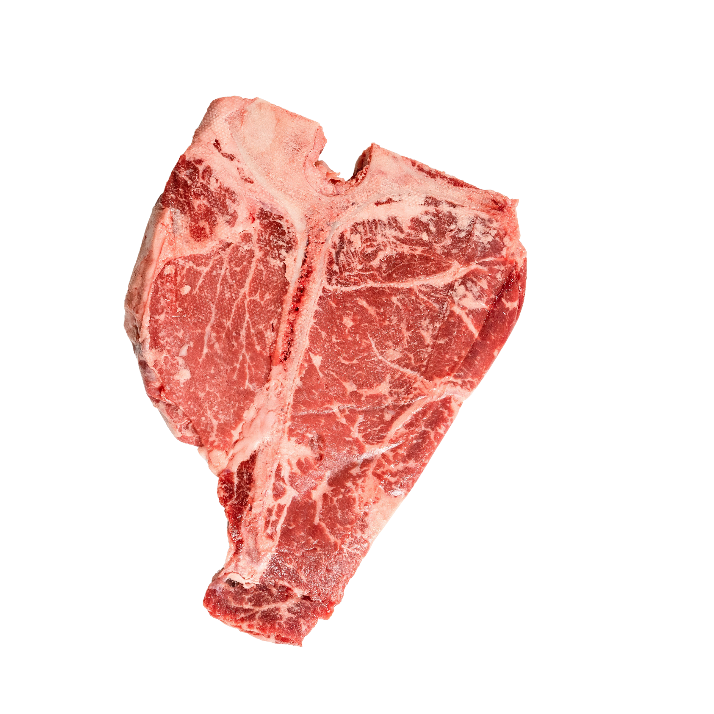 T-Bone - Black Angus